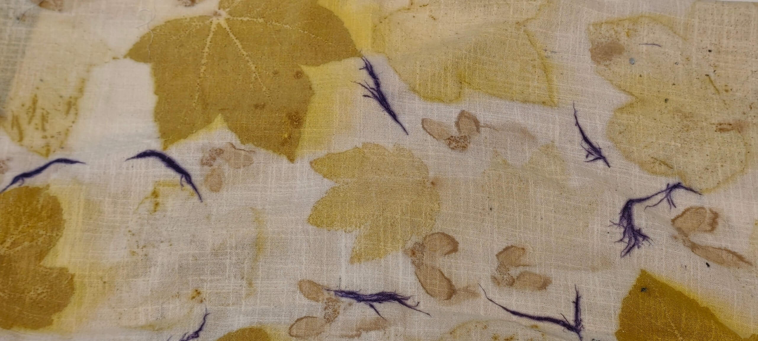 estampado-botanico-matices-arce