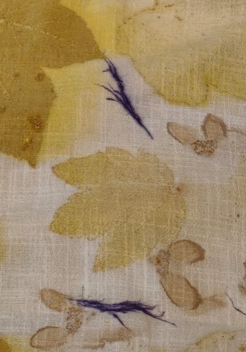 estampado-botanico-matices-arce